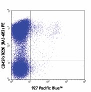 Pacific Blue™ anti-mouse CD317 (BST2, PDCA-1) Antibody (127017)