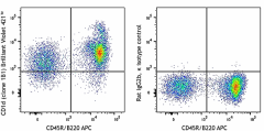 Brilliant Violet 421™ anti-mouse CD1d (CD1.1, Ly-38) Antibody (123527)