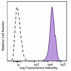 APC anti-mouse H-2Kd/H-2Dd Antibody (114713)