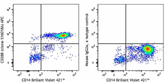 APC anti-human CD288 (TLR8) Antibody (395505)
