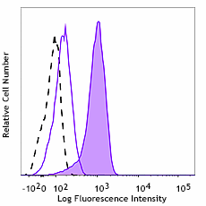 Alexa Fluor® 647 anti-NRF2 Antibody (939205)