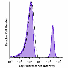 GMP PE anti-human CD19 Antibody (260036)