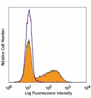 PE/Cyanine7 anti-mouse IL-17A Antibody (506921)