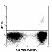 Purified anti-human TCR Vα24-Jα18 (iNKT cell) Antibody (342902)