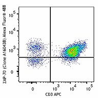 Alexa Fluor® 488 anti-ZAP-70 Antibody (693505)
