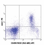PE anti-mouse CD93 (AA4.1, early B lineage) Antibody (136503)