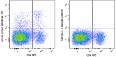 PE anti-mouse/human Helios Recombinant Antibody (105404)