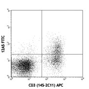 FITC anti-mouse FR4 (Folate Receptor 4) Antibody (125005)