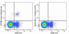 PE anti-human CD158h (KIR2DS1) Antibody (335007)