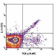Purified anti-mouse TCR Vγ1.1/Cr4 Antibody (141102)
