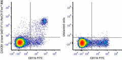 PerCP/Fire™ 806 anti-mouse CX3CR1 Antibody (149059)