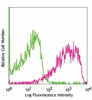 PE anti-mouse CD55 (DAF) Antibody (131803)