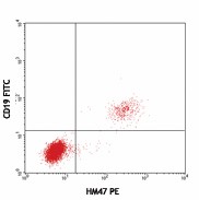PE anti-human CD79a (Igα) Antibody (333503)