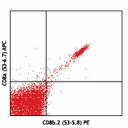 PE anti-mouse CD8b.2 Antibody (140408)