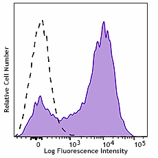 Purified anti-mouse CD115 (CSF-1R) Antibody (165002)