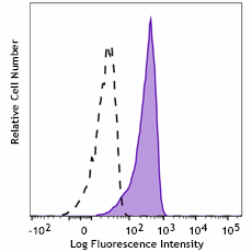 PE anti-NF-kB p65 Antibody (611355)