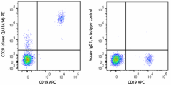 PE anti-human CD20 Recombinant Antibody (389103)