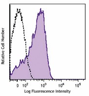 Brilliant Violet 605™ anti-human CD107a (LAMP-1) Antibody (328633)