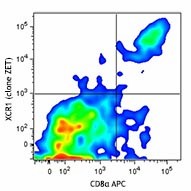 Purified anti-mouse/rat XCR1 Antibody (148202)