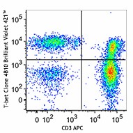Brilliant Violet 421™ anti-T-bet Antibody (644815)