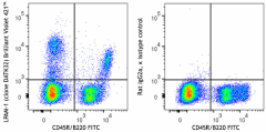 Brilliant Violet 421™ anti-mouse LPAM-1 (Integrin α4β7) Antibody (120613)