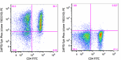 PE anti-ZAP70 Phospho (Tyr319)/Syk Phospho (Tyr352) Antibody (683703)