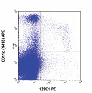PE anti-mouse CD317 (BST2, PDCA-1) Antibody (127103)