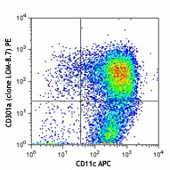 PE anti-mouse CD301a (MGL1) Antibody (145605)