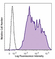 Purified anti-Baculovirus envelope gp64 Antibody (250601)