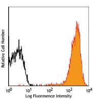 PE anti-mouse H-2Kd Antibody (116607)