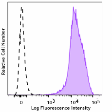 PE anti-rat TSPAN8 Antibody (200803)