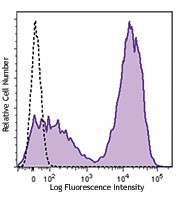 Brilliant Violet 605™ anti-mouse I-A/I-E Antibody (107639)