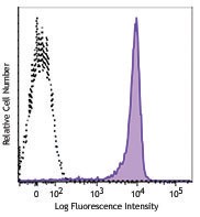 Ultra-LEAF™ Purified anti-rat CD90 Antibody (206204)
