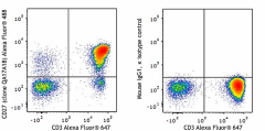 Alexa Fluor® 488 anti-human CD27 Recombinant Antibody (393203)