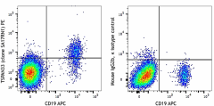 PE anti-human TSPAN33 (BAAM) Antibody (395404)