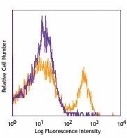 PE/Cyanine7 anti-mouse Ly-6G Antibody (127617)