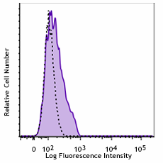 Brilliant Violet 510™ anti-mouse CD80 Antibody (104741)