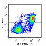 APC anti-mouse CD185 (CXCR5) Antibody (145505)