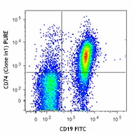 Purified anti-mouse CD74 (CLIP) Antibody (151002)