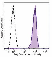 Biotin anti-marmoset CD45 Antibody (250206)