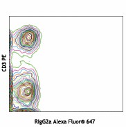 Alexa Fluor® 647 anti-mouse CD197 (CCR7) Antibody (120111)