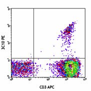Purified anti-human TCR Vα7.2 Antibody (351702)