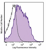 PE/Dazzle™ 594 anti-mouse CD80 Antibody (104737)