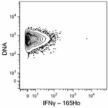 Purified anti-mouse IFN-γ (Maxpar® Ready) Antibody (505843)