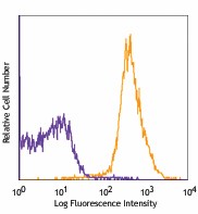 PerCP/Cyanine5.5 anti-mouse H-2Kb Antibody (116515)