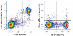Purified anti-mouse CD20 Recombinant Antibody (161402)