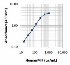 Purified anti-human MIF Antibody