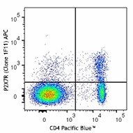 APC anti-mouse P2X7R Antibody (148705)