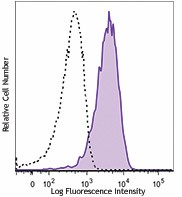 Brilliant Violet 650™ anti-mouse F4/80 Antibody (123149)