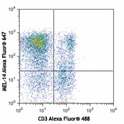 Alexa Fluor® 647 anti-mouse CD62L Antibody (104421)